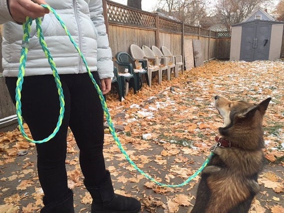 Recycled Fly Line Dog Leash